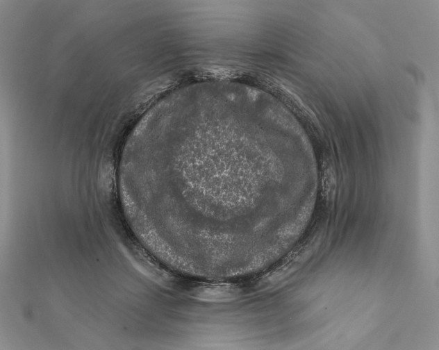 X0000112350459200909031853