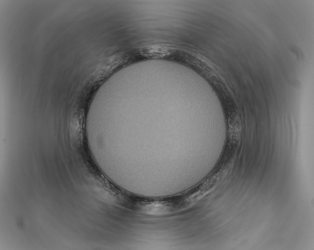 X0000112350460200909031853