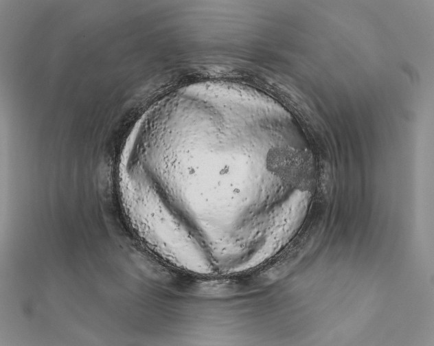 X0000112350461200909031853