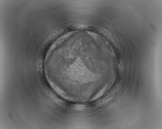 X0000112350462200909031853