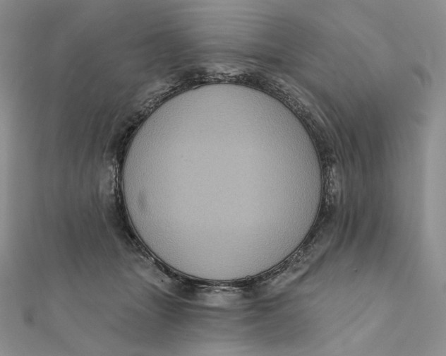 X0000112350463200909031853