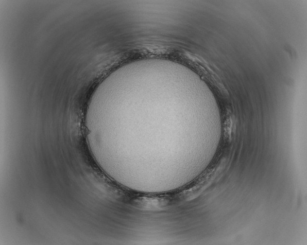 X0000112350464200909031853