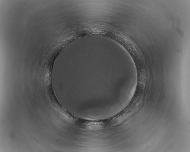 X0000112350465200909031853