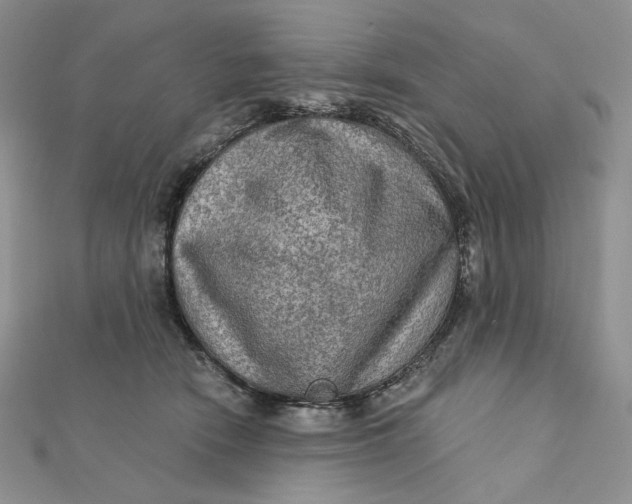 X0000112350466200909031853