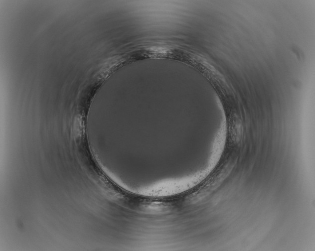 X0000112350467200909031853