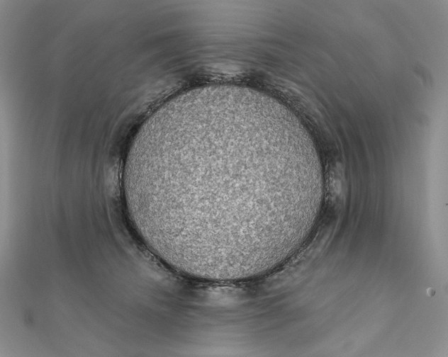 X0000112350468200909031853