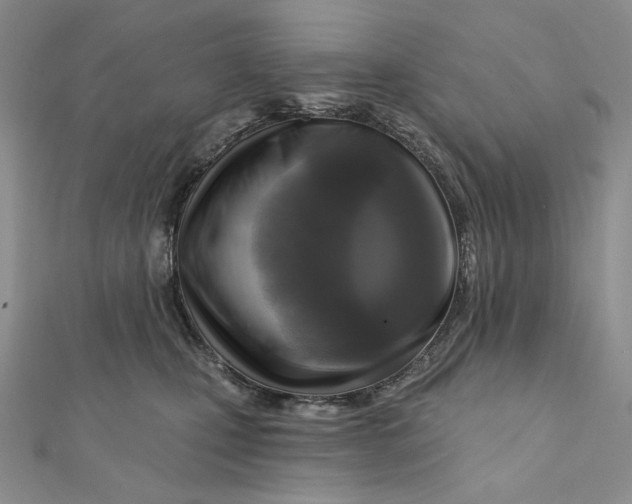 X0000112350471200909031853