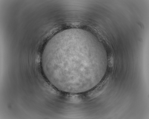 X0000112350472200909031853