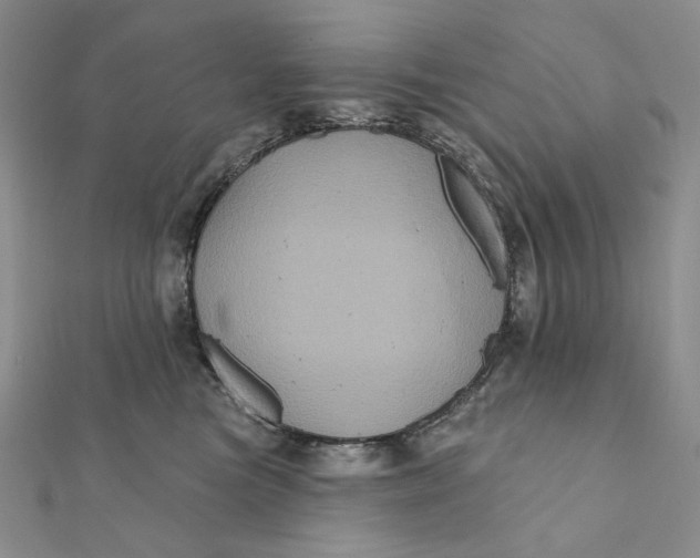 X0000112350473200909031853