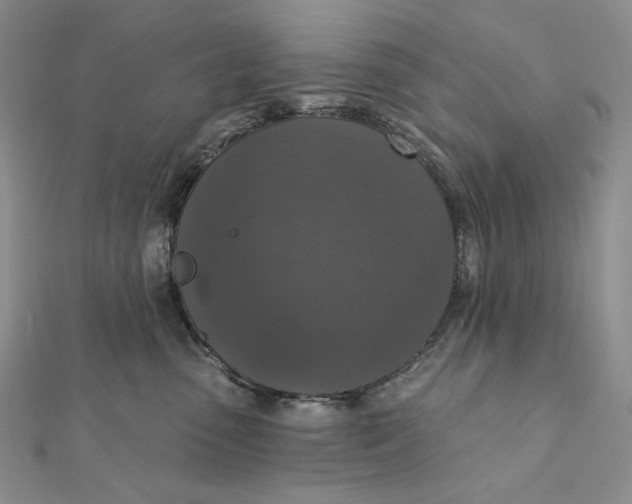 X0000112350475200909031853