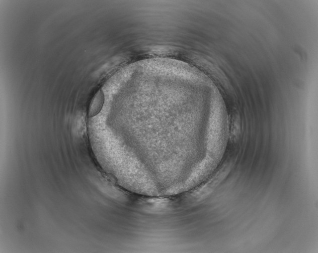 X0000112350478200909031853