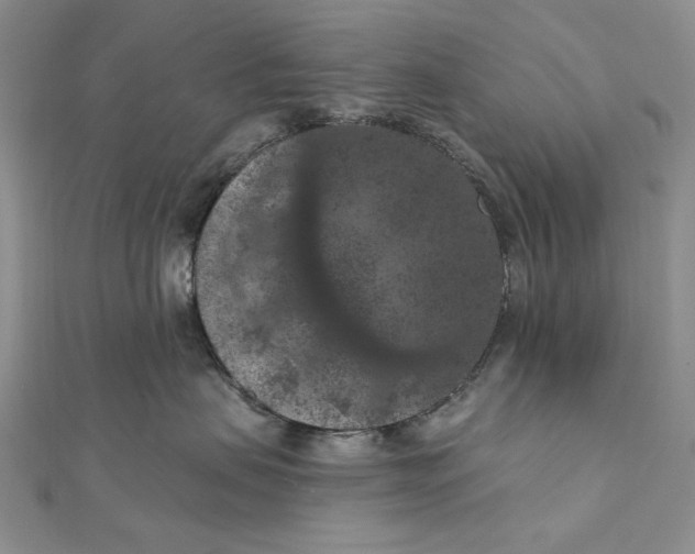 X0000112350479200909031853