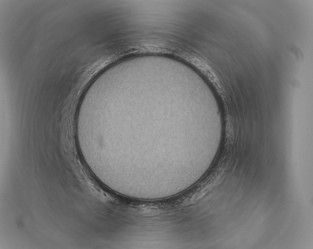 X0000112350481200909031852