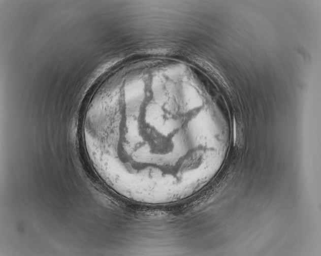 X0000112350483200909031852