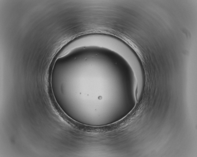 X0000112350485200909031852