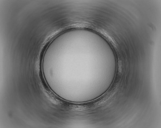 X0000112350486200909031852