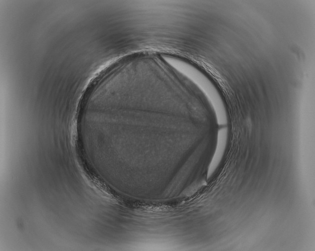 X0000112350488200909031852