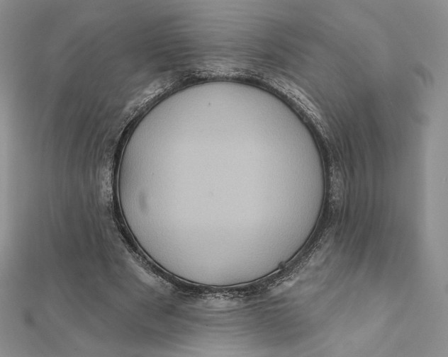 X0000112350489200909031852