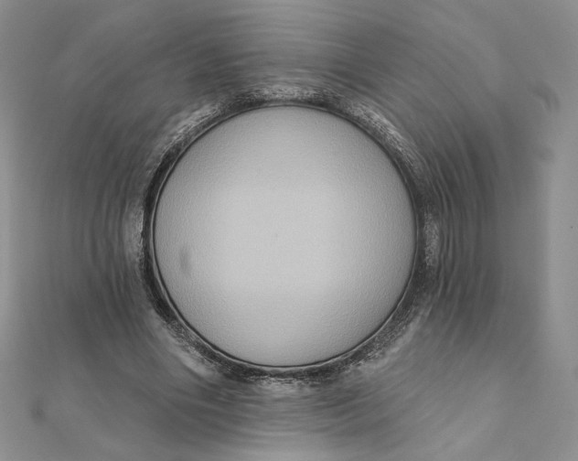 X0000112350490200909031852