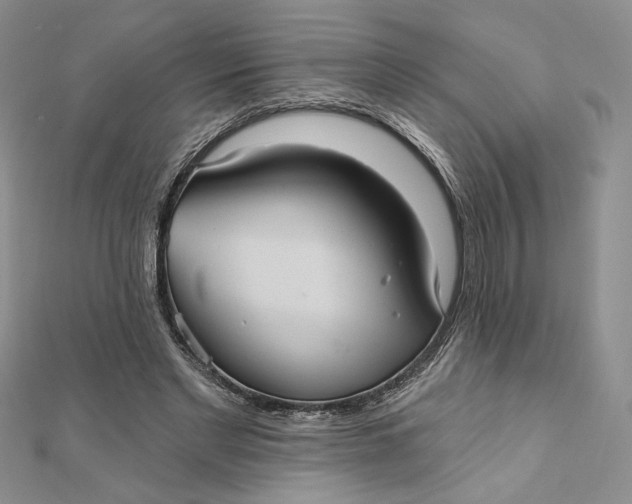 X0000112350493200909031852