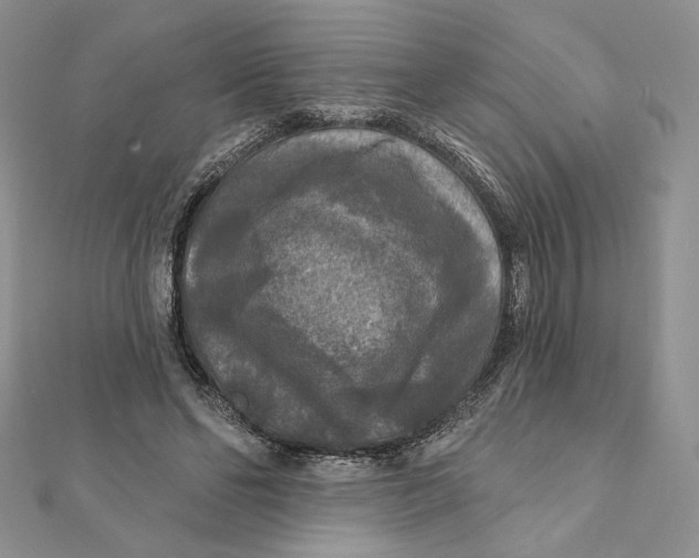 X0000112350494200909031852