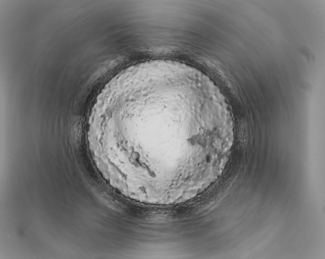 X0000112350495200909031852