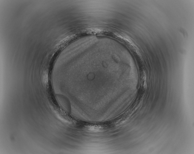 X0000112350500200909031852