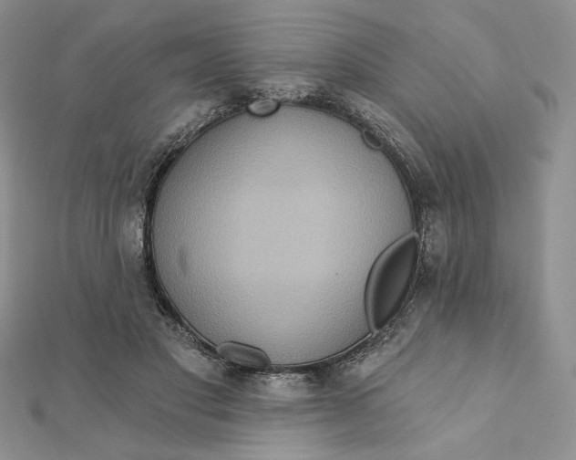 X0000112350501200909031852