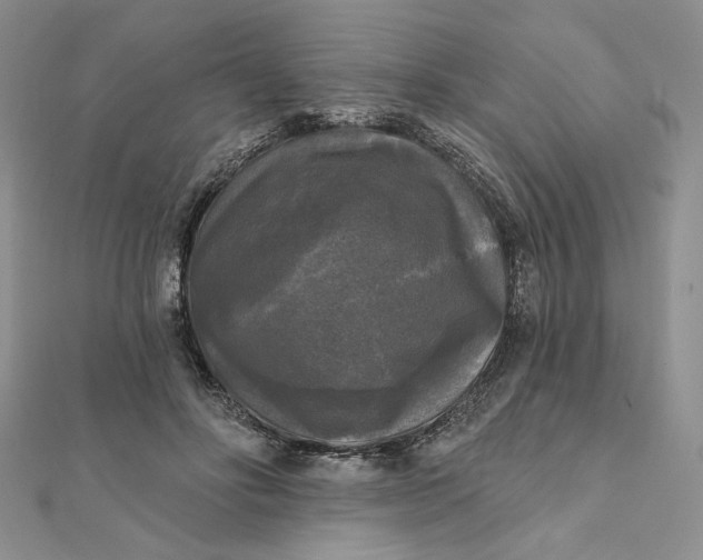 X0000112350502200909031852