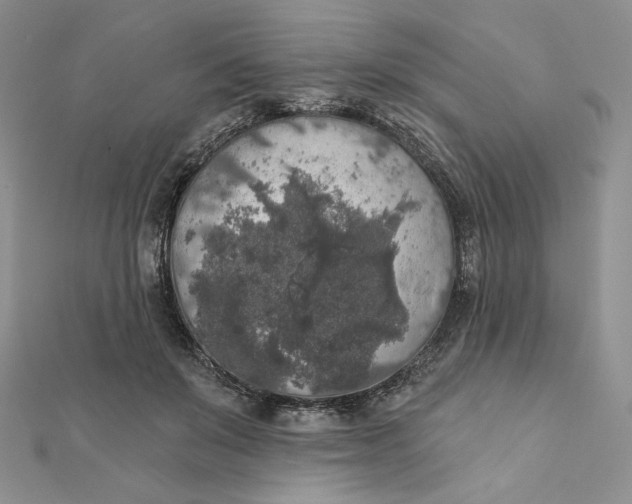 X0000112350503200909031852