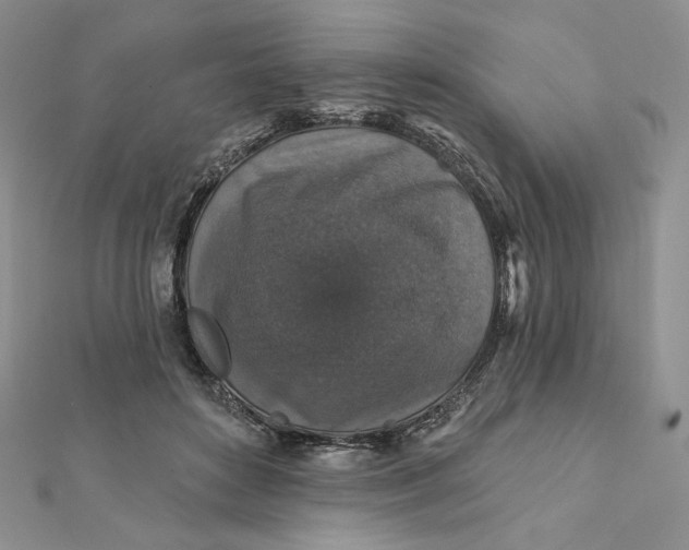 X0000112350504200909031852