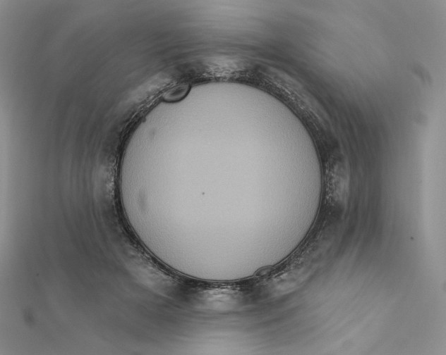 X0000112350505200909031852