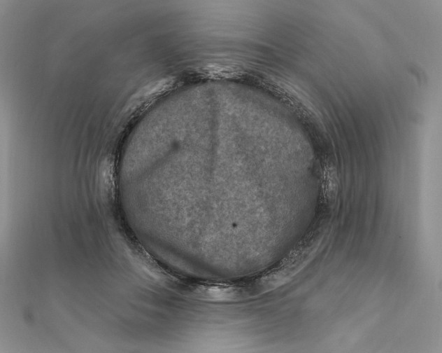 X0000112350506200909031852