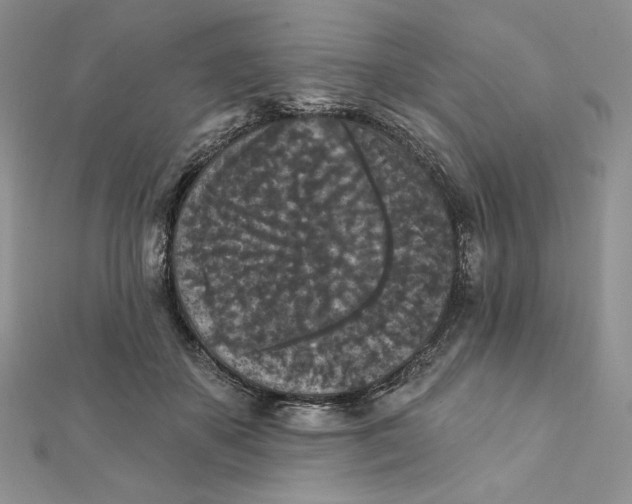 X0000112350507200909031852