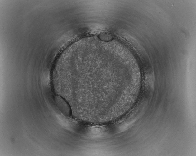 X0000112350508200909031852