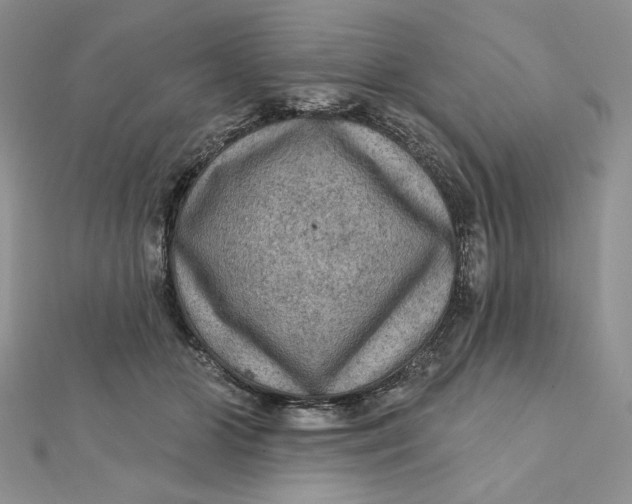 X0000112350510200909031852