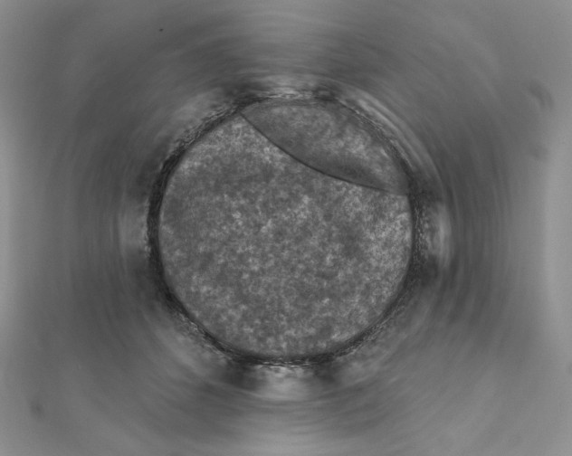 X0000112350512200909031852