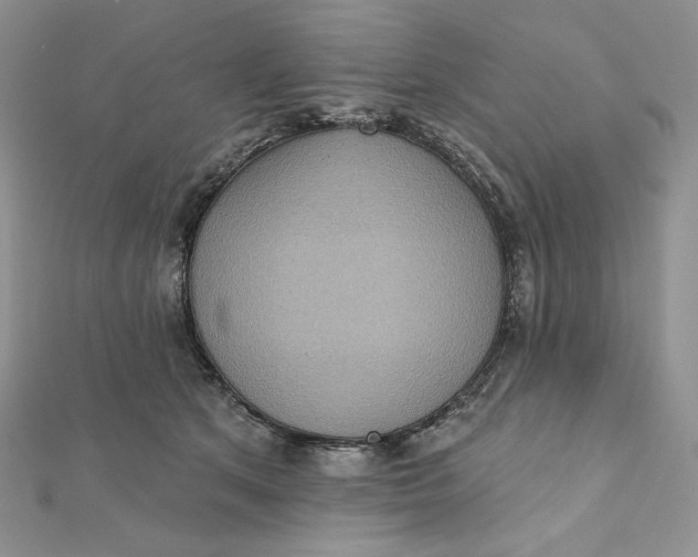 X0000112350513200909031852