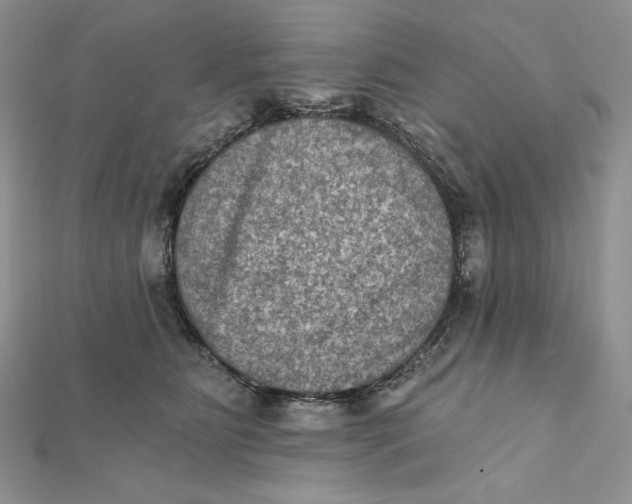 X0000112350515200909031852