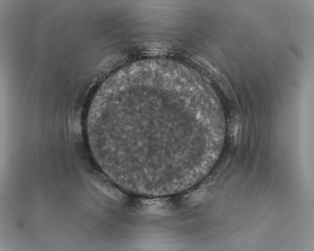 X0000112350516200909031852