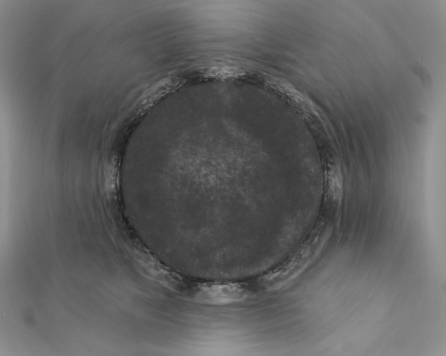 X0000112350517200909031852