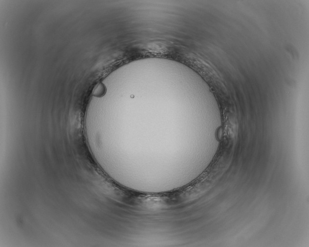 X0000112350518200909031852