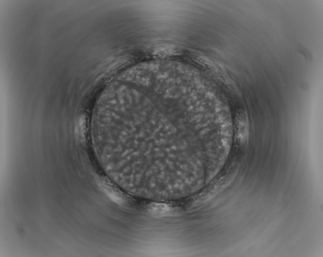 X0000112350519200909031852