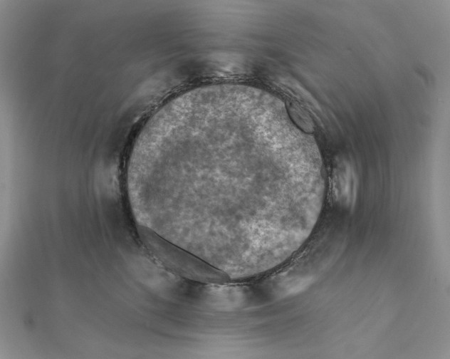 X0000112350520200909031852