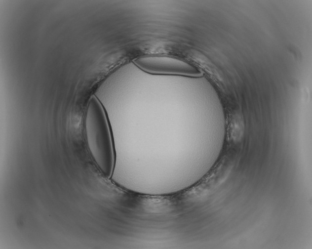 X0000112350521200909031852