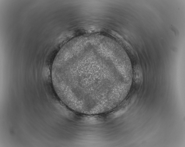 X0000112350523200909031852