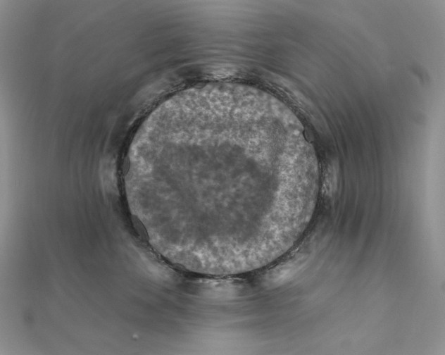 X0000112350524200909031852