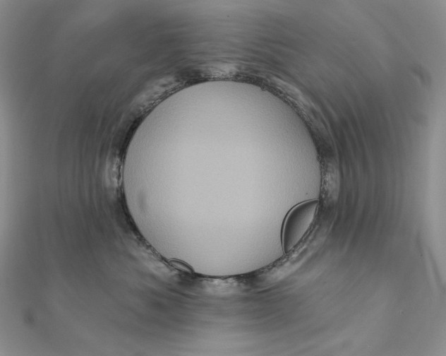 X0000112350525200909031852