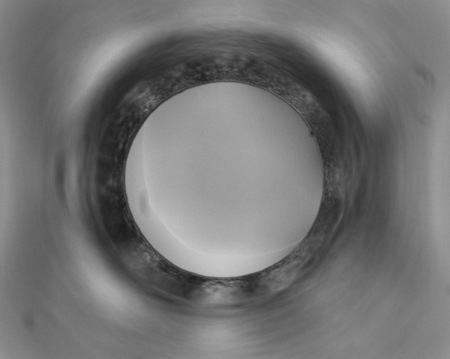 X0000112350526200909031852