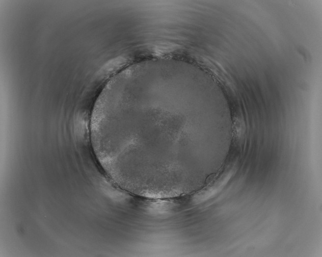 X0000112350527200909031852